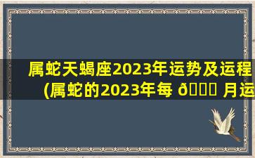 属蛇天蝎座2023年运势及运程(属蛇的2023年每 💐 月运势及运程)